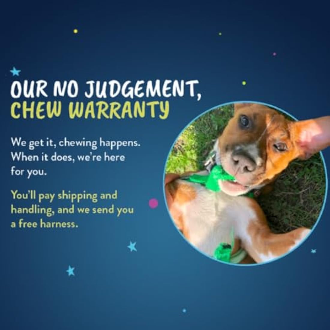 2 Hounds Design Freedom No-Pull Dog Harness with Leash, Medium, 5/8-Inch Wide, Teal