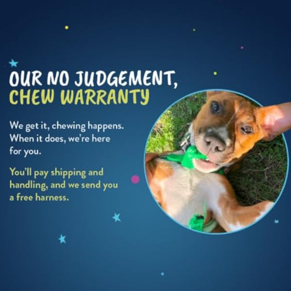 2 Hounds Design Freedom No-Pull Dog Harness with Leash, Medium, 5/8-Inch Wide, Teal