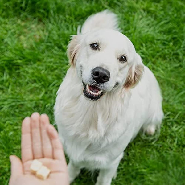 8in1 Meaty Treats, freeze dried snacks for dogs with chicken and carrot, grain free, no sugar, 50g