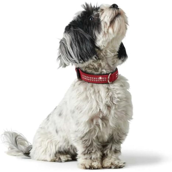 Hunter Softie Deluxe Collar, 35, Red/Black