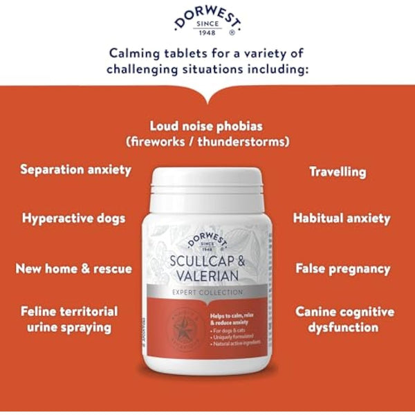 DORWEST HERBS Scullcap & Valerian Calming Tablets for Dogs and Cats, 200 Tablets, Natural Dog Calming Supplements for Stress and Anxiety Relief – Sugar-Free, Non-Drowsy, Light Yellow Tablet, 14DOR017