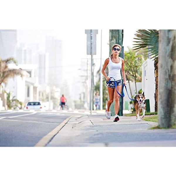 EzyDog Vario 6 Multi-Function Dog Lead, 3-6 foot, Black