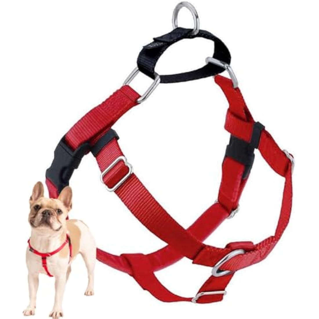 2 Hounds Design Freedom No Pull Dog Harness | Comfortable Control for Easy Walking | Adjustable Dog Harness | Small, Medium & Large Dogs | Made in USA | Solid Colors | 1" MD Red