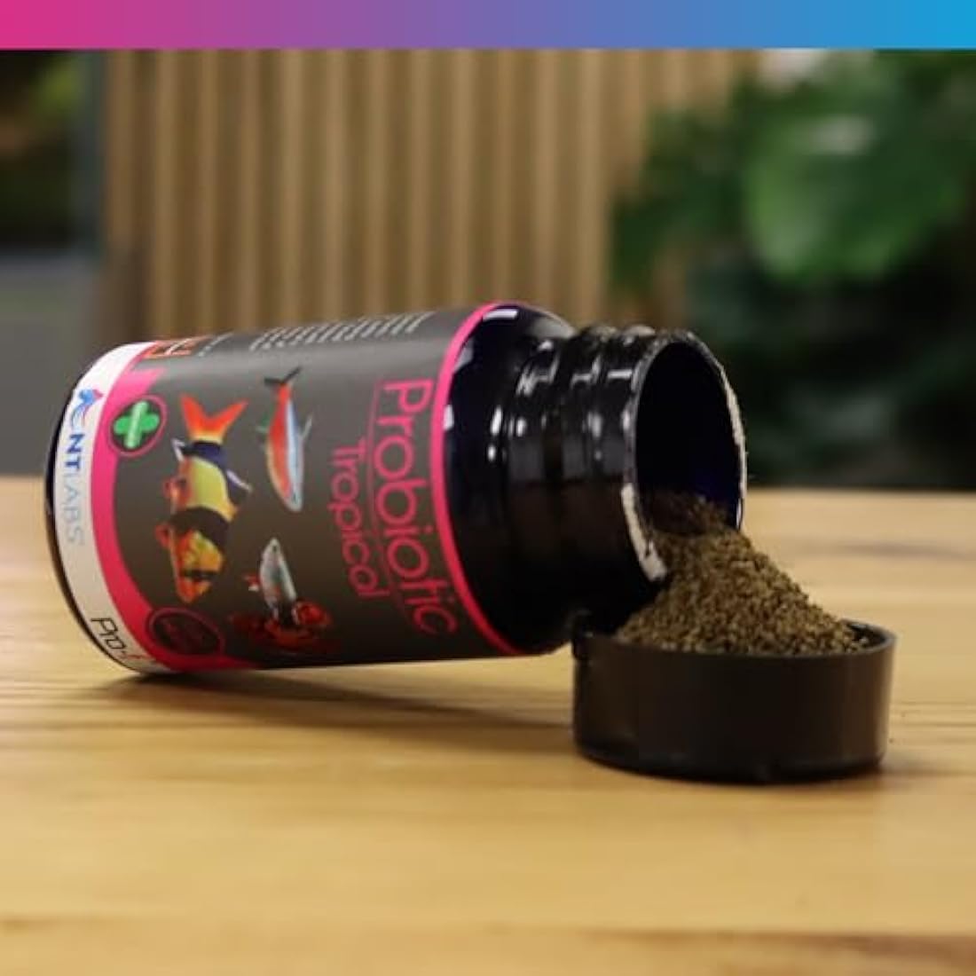 NT Labs Pro-f Probiotic Tropical Fish Food For Freshwater Fish (Contain Viable Probiotic Cultures) Granules For Tropical Aquariums, Supports Immune System, Highly Nutritious Spirulina (120g)