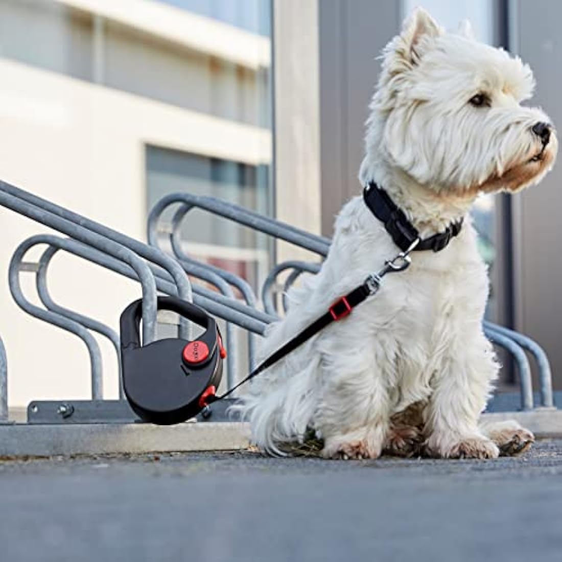 Dogxi Dog Lead Multifunctional Extendable Retractable Dog Lead 5m Handle Opens For Easy Fastening Seatbelt Buckle For Safe Transport In The Car For Small And Medium-Sized Dogs