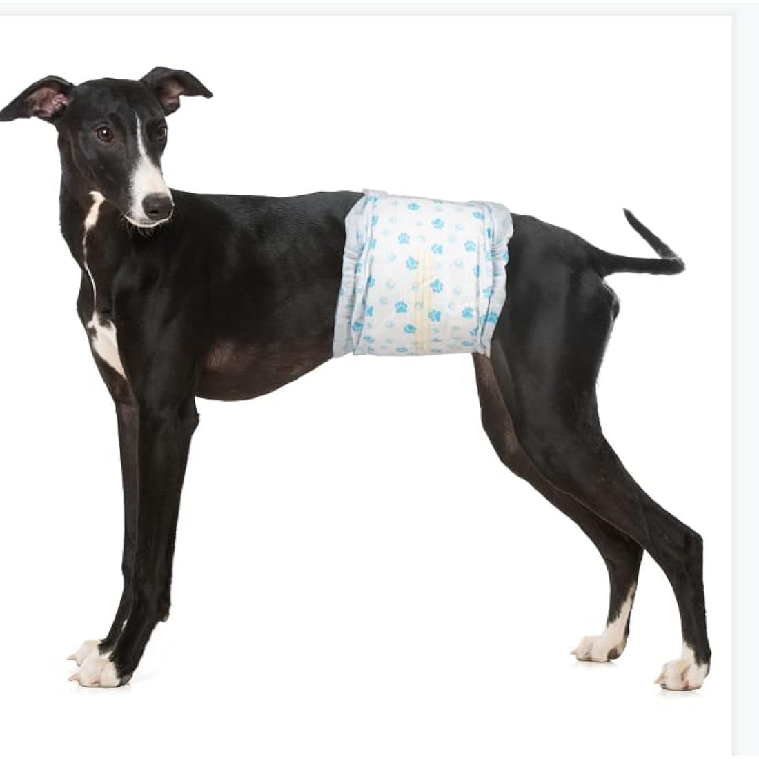 Pet Soft Disposable Dog Puppy Nappies Male - Super Absorbent Male Dog Incontinence Wraps