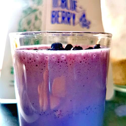 Freeze Dried Wild Blueberry Powder | XL 300g Vaccinium Myrtillus Pure Blueberries Fruit Milled to Bilberry Powder | Make Smoothies Bowls, Superfood Like Aronia, Acai Berry Powder | ZingyZoo