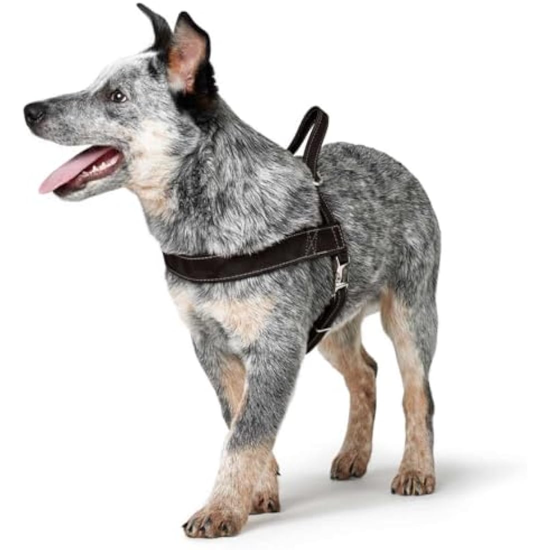 HUNTER Norwegian harness for Dogs Hunting, 50 x 69-93 cm, Black