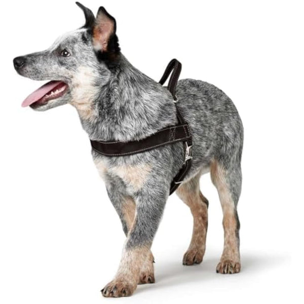 Hunter Norwegian harness for Dogs Hunting, 55 x 71-97 cm, Black