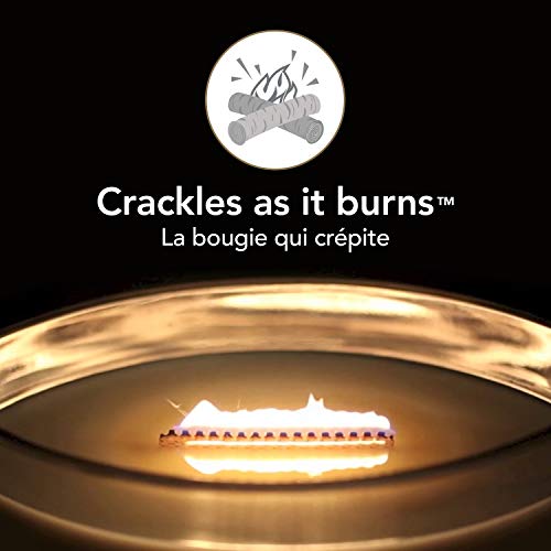 WoodWick Ellipse Scented Candle , Seaside Mimosa , with Crackling Wick , Burn Time: Up to 50 Hours