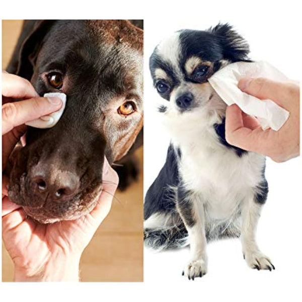 Dog Wipes All Purpose Cleaning Pet Wipes for Dogs Cats Puppies Alcohol Free (1 Pack of 60 Wipes)