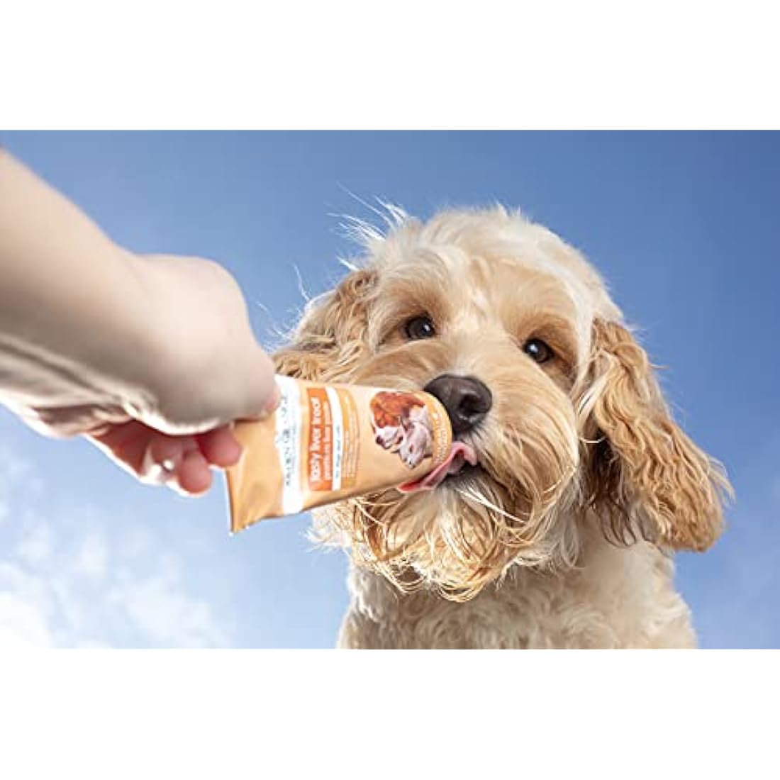 Arden Grange Tasty Liver Treats for Cats and Dogs, Brown, 75 g (Pack of 12)