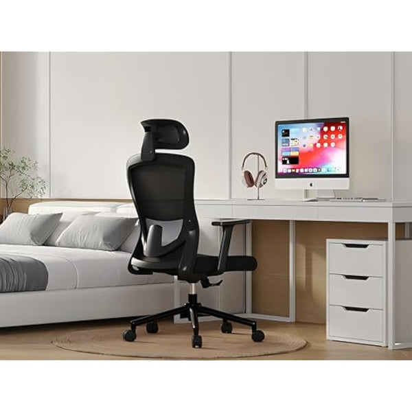 Eucladoceros Office Chairs,Ergonomic Desk Chairs with Adjustable Lumbar Support,2D Headrest & Armrest 120° Rocking High Back Mesh Executive Office Chair for home, Desk Chair, Black