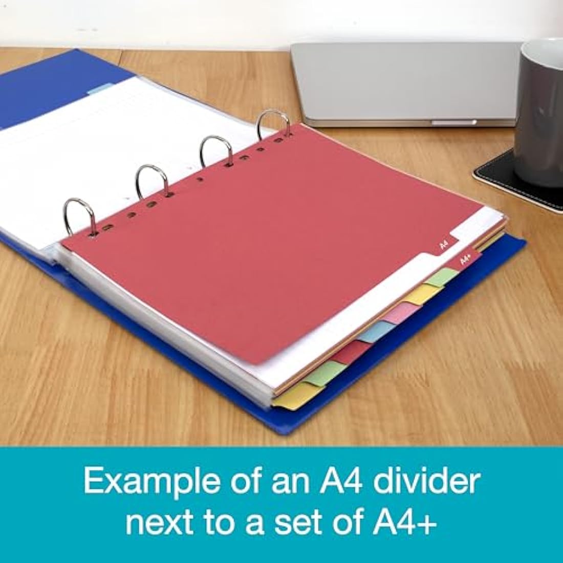 Elba A4+ (Extra Wide), 10 Part Card Dividers, Assorted, 5 Sets
