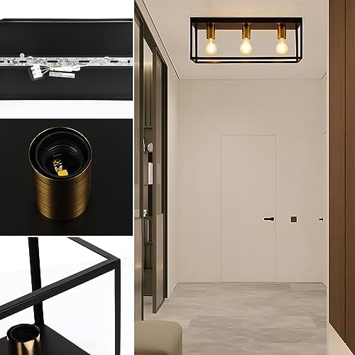 3 Lights Black Ceiling Lights, Flush Mount Modern Industrial Ceiling Light E27, LED Metal Cage Ceiling Light Fixture for Bedroom Living Room Kitchen Hallway Staircase max.60W - NO Bulb