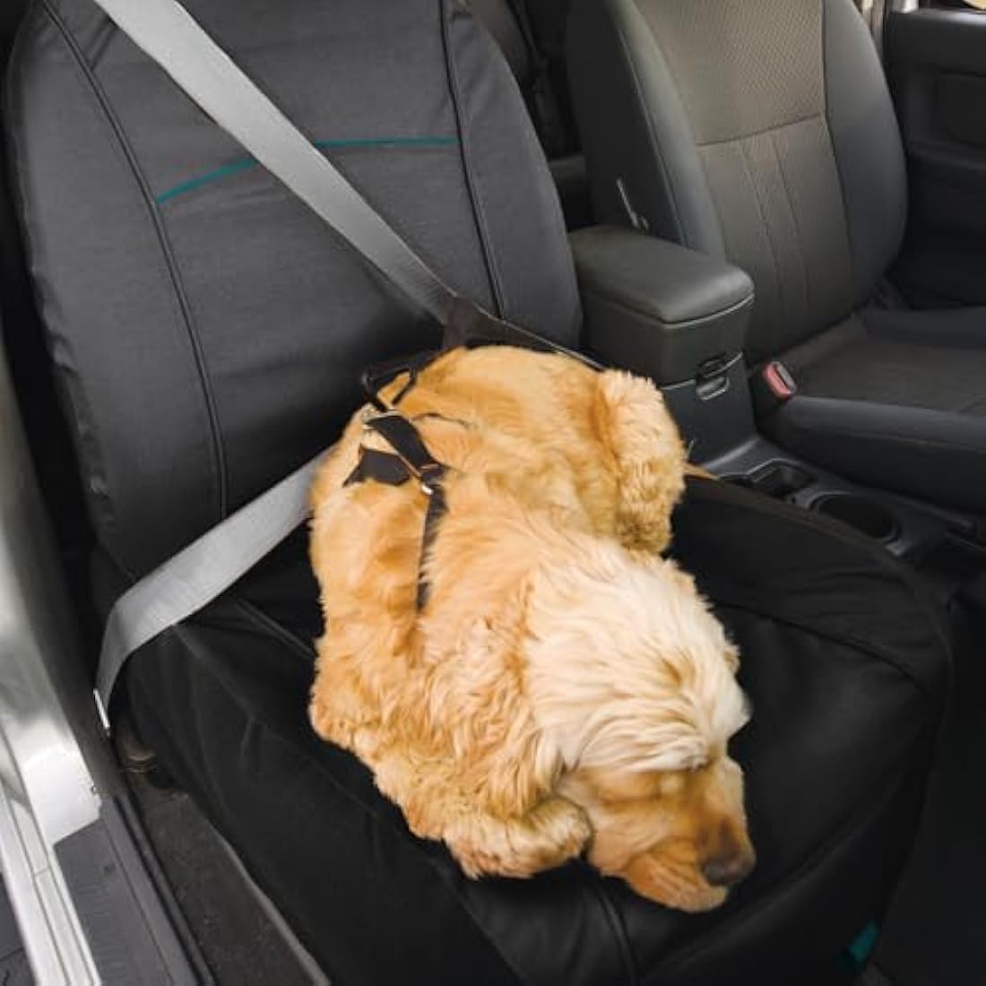 Kurgo Co-Pilot Bucket Seat Cover for Dogs, Dog Front Seat Cover, Pet Seat Protector, Car Seat Cover for Pets, Full Coverage, Black