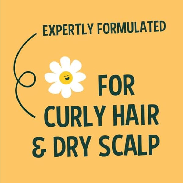 Faith In Nature Natural Shea & Argan Shampoo, Moisturising for Curly Hair & Dry Scalp, Vegan & Cruelty Free, No SLS, Silicones or Parabens, 5L Refill Pack