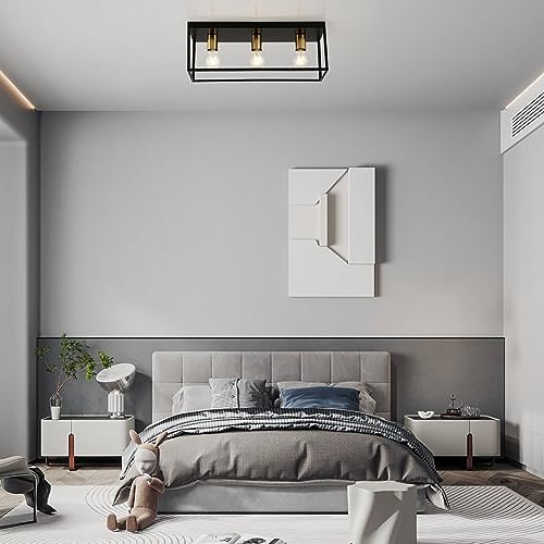 3 Lights Black Ceiling Lights, Flush Mount Modern Industrial Ceiling Light E27, LED Metal Cage Ceiling Light Fixture for Bedroom Living Room Kitchen Hallway Staircase max.60W - NO Bulb