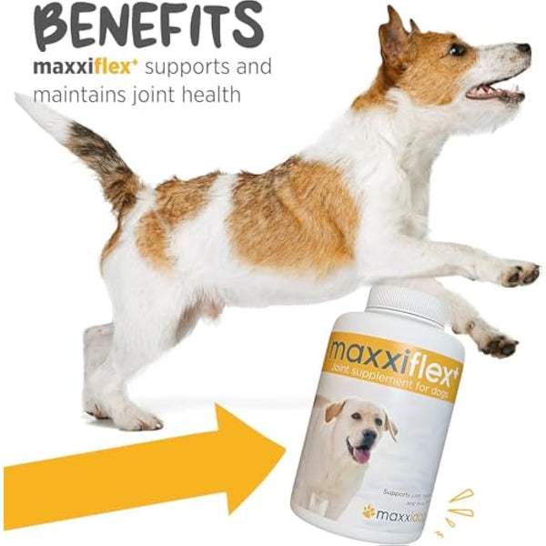 maxxipaws - maxxiflex+ Hip & Joint Supplement for Dogs with Glucosamine, Chondroitin, MSM & Collagen | Mobility, Flexibility & Discomfort Support | Senior, Adult & All Breeds | 120 Tablets