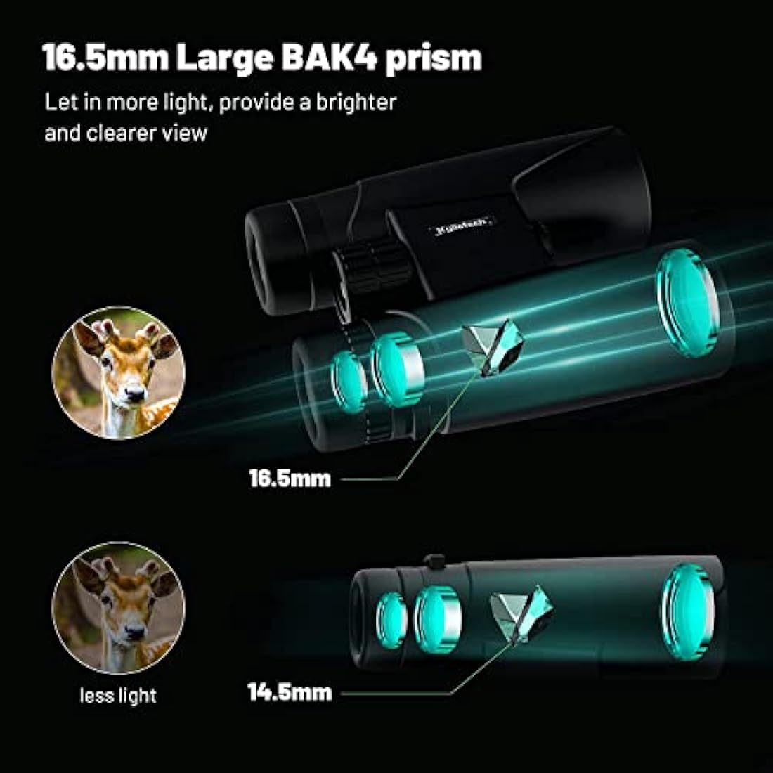 Kylietech High Power 12x42 Binoculars for Adults with BAK4 Prism, FMC Lens, Fogproof & Waterproof Great for Bird Watching Travel Stargazing Hunting Concerts (Smartphone Adapter Included)