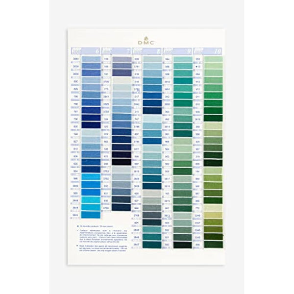 DMC Stranded Cotton Shade Card - W100B