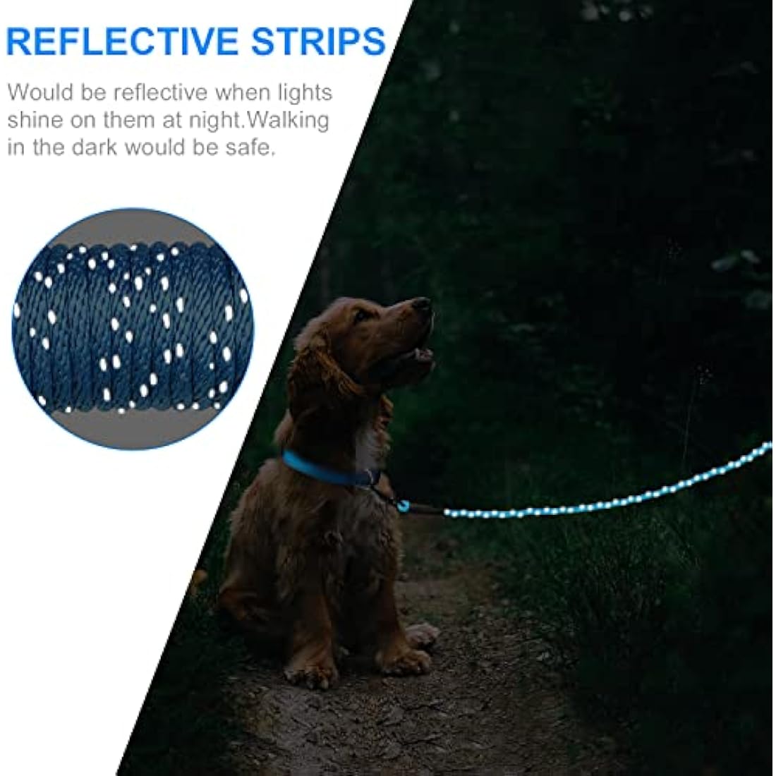 Joytale Long Training Lead for Dogs, 15/10/5M Strong Reflective Training Leads with Soft Handle, Nylon Rope Long Line Leash for Small and Puppy Dogs with 2 Hook Tie out, 10M, Blue