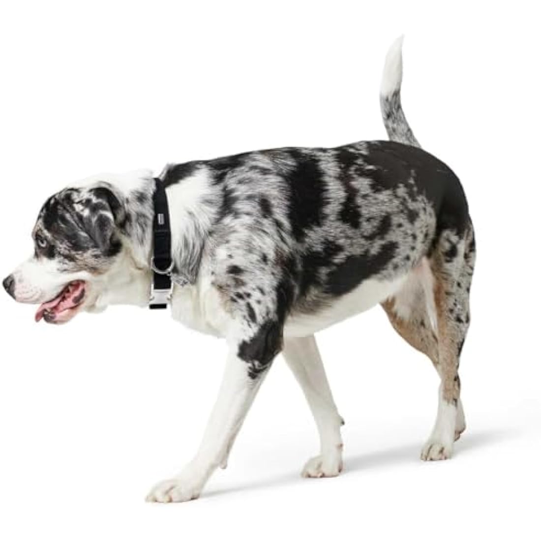 Hunter - Collar Softie Alu-Strong black 40-55 cm