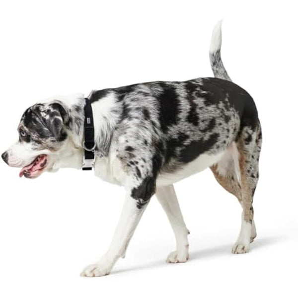 Hunter - Collar Softie Alu-Strong black 40-55 cm