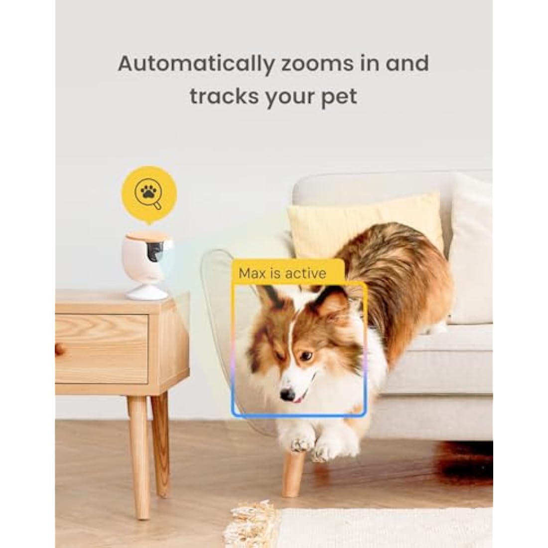Furbo Mini Pet Camera [Basic]: Small Camera, Big Safety & Peace of Mind | Pet Monitor w/Phone App, Colour Night Vision, 2-Way Audio, Barking or Meowing Alerts, Designed for Dogs or Cats, Indoor Cam