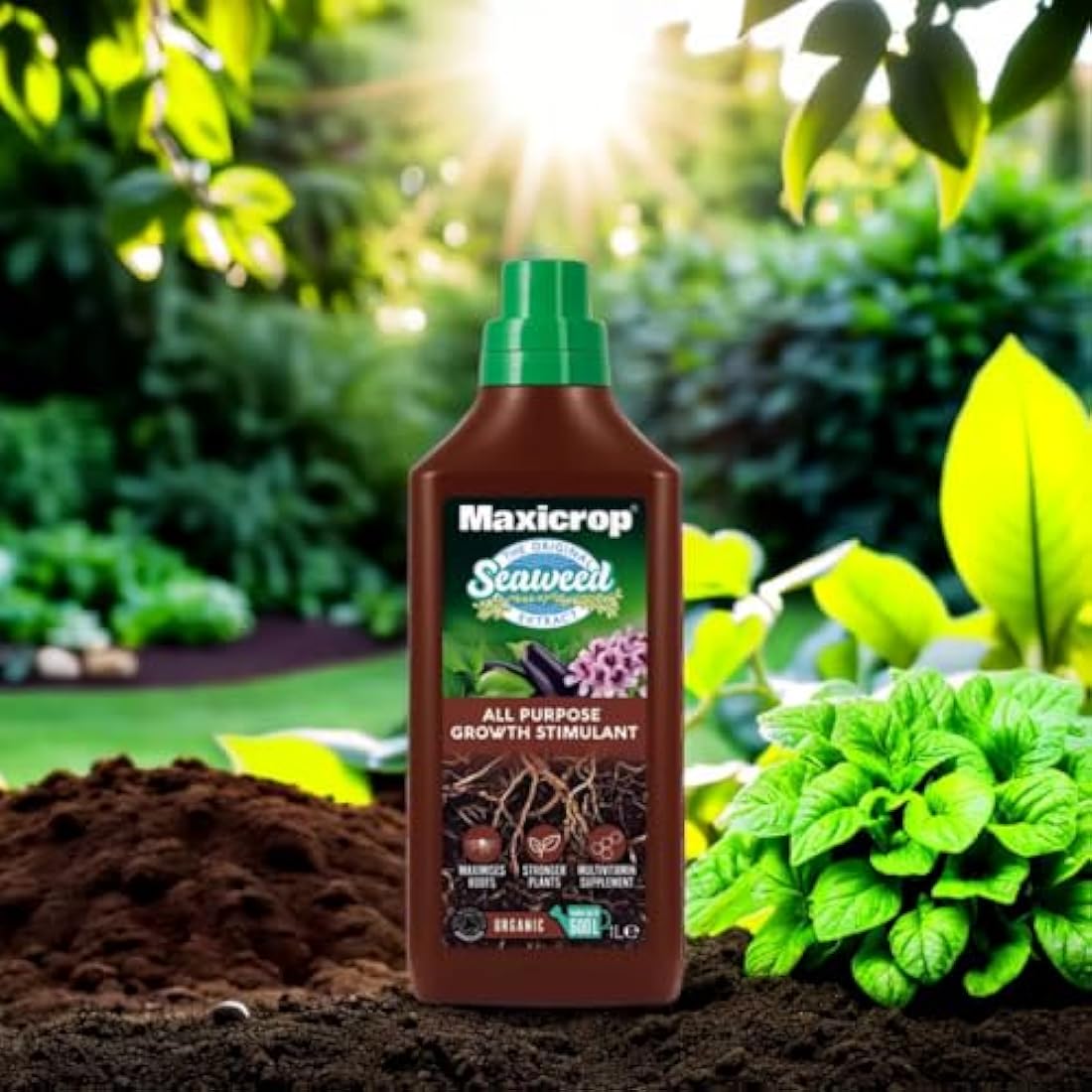 Maxicrop All Purpose Plant Growth Stimulant, 1L - Natural Seaweed Based Liquid Biostimulant - Multivitamin Boost for All Garden Plants - Strong Roots - Healthy Growth - Builds Resilient Crops