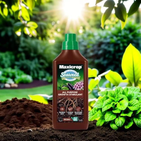 Maxicrop All Purpose Plant Growth Stimulant, 1L - Natural Seaweed Based Liquid Biostimulant - Multivitamin Boost for All Garden Plants - Strong Roots - Healthy Growth - Builds Resilient Crops