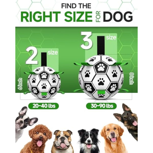 HETOO Interactive Dog Football Toys with Grab Tabs, Durable Dog Water Balls for Small Medium Breed, Indoor & Outdoor (6 Inch)