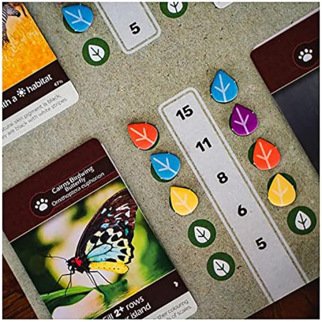 Inside Up Games | Earth | Board Game | Ages 14+ | 1-5 Players | 45-90 Minutes Playing Time, G121620