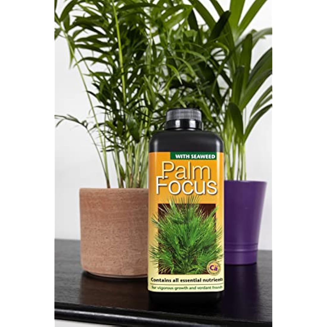 Growth Technology Ltd,1L,Black Palm Focus 1 Litre