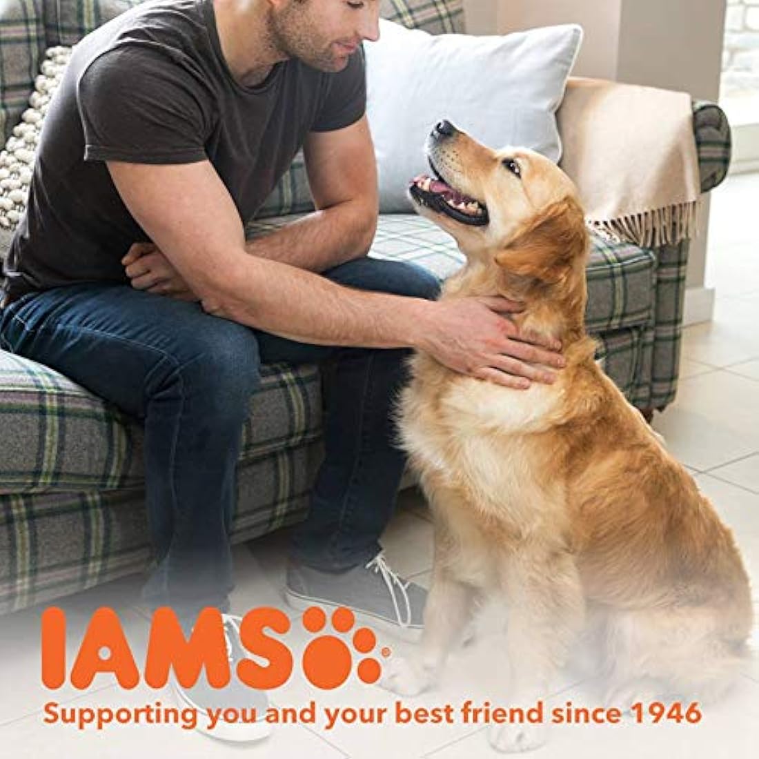 Iams For Vitality Senior Dog Dry Food With Fresh Chicken, 2kg
