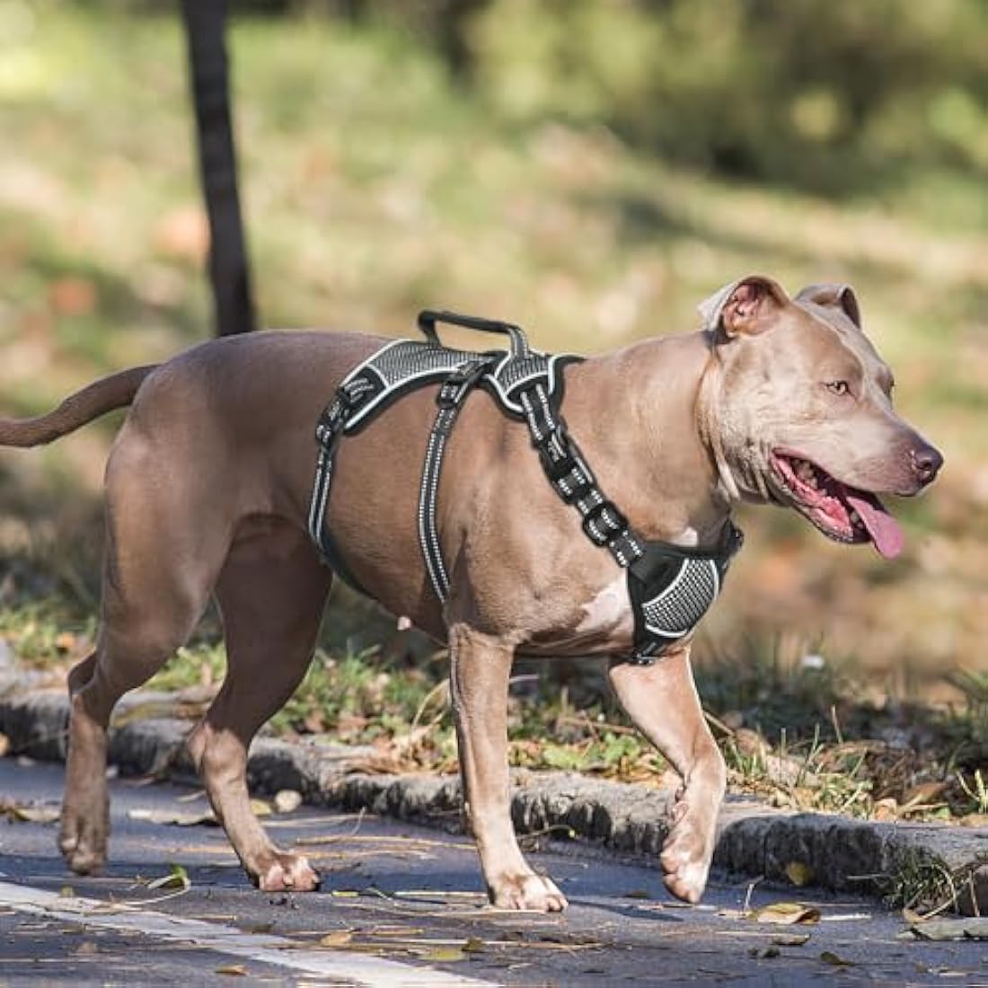 HEELE Dog Harness, Escape Proof Dog Harness, Release on Neck, No Pull Reflective Adjustable Vest with Durable Handle, Dog Harness for Outdoor Training Walking, Harness for Large/Active Dogs, Black, L