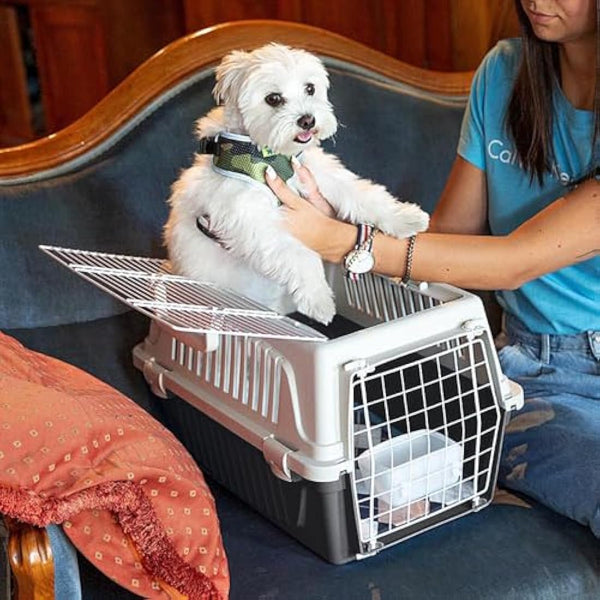 Ferplast Cat Carrier Small Dog Carrier, Double Opening, Secure, Practical, Easy to Clean, Durable Pet Travel Box up to 5 Kg, Includes Cushion, 48 x 32.5 x h 29 cm.