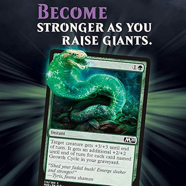 Magic: The Gathering C60281010 Trading Cards