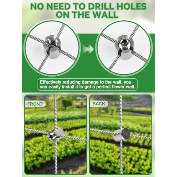 185PCS Garden Wire Trellis for Climbing Plants, Kalolary 30M Stainless Steel Heavy Duty Wire Trellis Kit Wall Plant Climbing T316 Steel Wire Rope Cross Clamp Cable Trellis System Kit for Flower Vines