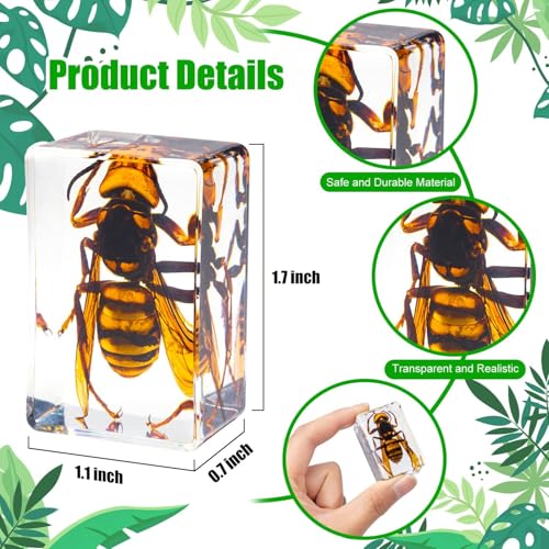 48 Styles Insect in Resin Specimen, Bugs Collection Paperweights Animal Specimen for Kids Bug Preserved in Resin for Scientific Education Office Desk Christmas Display Supplies