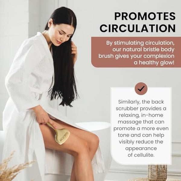 Shash Since 1869: Intense 100% Boar Bristle Face Brush - Made in Germany for Gentle Exfoliation, Reduced Flaking, and Fine Lines - Unveil an Even, Glowing Complexion, Sustainably Sourced