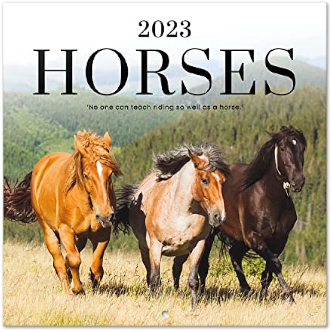 Grupo Erik Horses Wall Calendar 2023 12' x 12' FSC| 12 Month Planner | Square Wall Calendar 2023 | Family Planner Calendar 2023 | Horse Calendar 2023 | + 4 Bonus Months