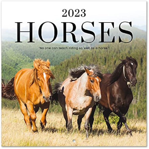 Grupo Erik Horses Wall Calendar 2023 12' x 12' FSC| 12 Month Planner | Square Wall Calendar 2023 | Family Planner Calendar 2023 | Horse Calendar 2023 | + 4 Bonus Months