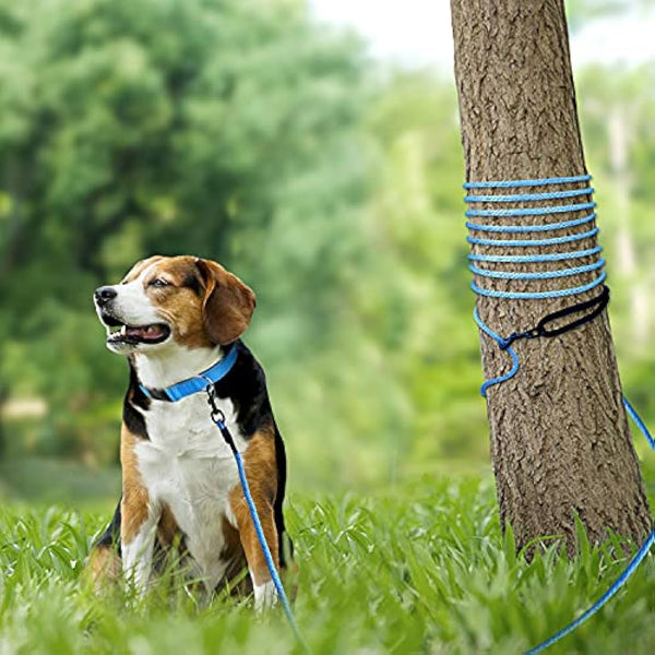 Joytale Long Training Lead for Dogs, 15/10/5M Strong Reflective Training Leads with Soft Handle, Nylon Rope Long Line Leash for Small and Puppy Dogs with 2 Hook Tie out, 10M, Blue