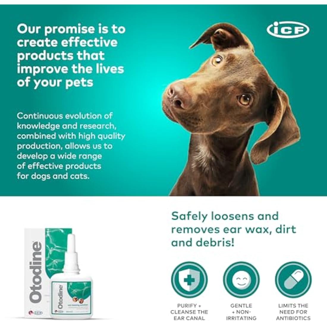 ICF Otodine | Cat & Dog Ear Cleaner Solution | Dog Ear Drops to Stop Wax Build Up, Head Shaking, Discomfort, Ear Odour & Scratching | 100ml
