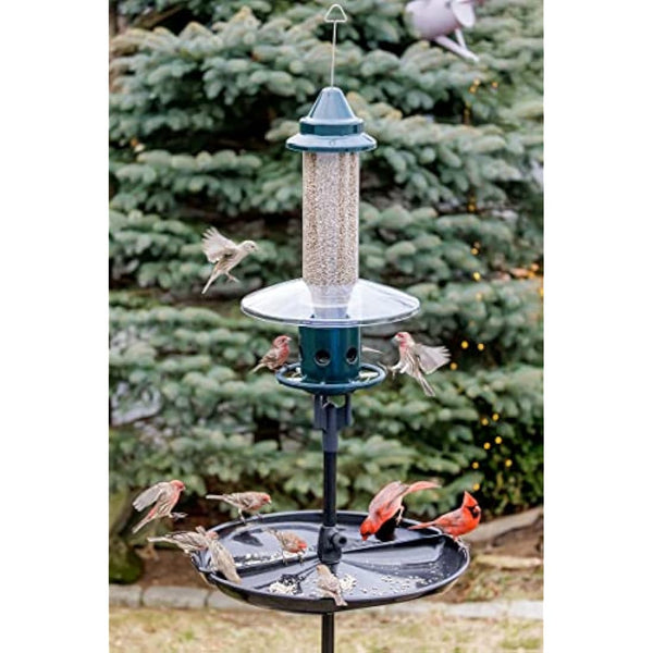 Jacobi Jayne 1024-V01 Feeder Buster Plus-Marauders Off Guaranteed Squirrel and Large Bird Proof/Metal, Green