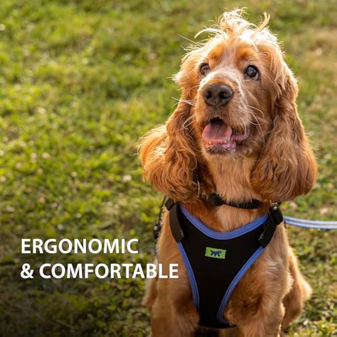Ferplast Small Size Dog Harness ERGOCOMFORT EXTRA SMALL, Adjustable Dog Harness, Comfortable, Padded, Double Micro-adjustment Closure, Quick Release, Blue