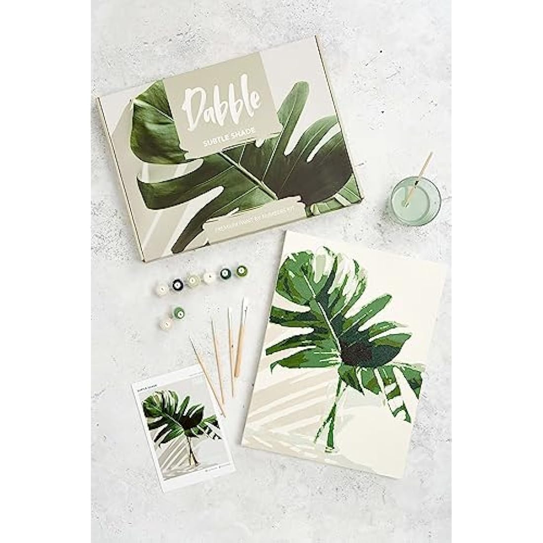 Dabble Paint by Numbers Kit – Paint by Numbers for Adults Beginners with Canvas Frame, Painting Kit for Adults, Flowers Design