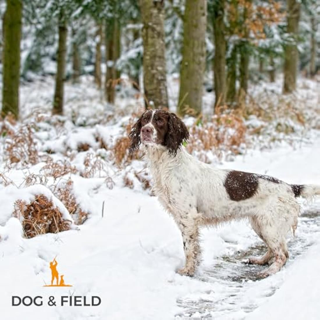 Dog & Field Figure 8 Anti-Pull Lead/Halter/Head Collar/Harness (Natural)