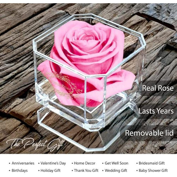 100% Real Rose That Lasts A Year | Single Pink Rose in Box | Unique Birthday Gift